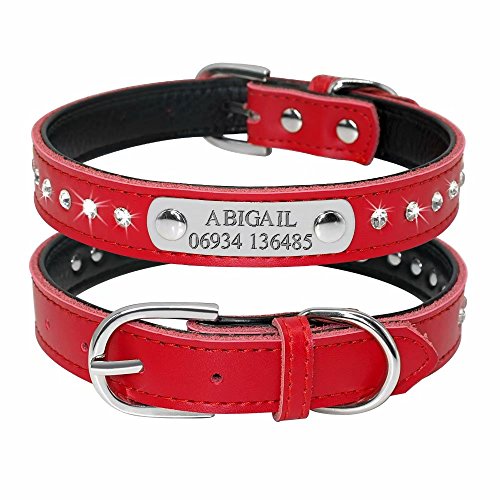 Didog Glitzerndes gepolstertes Hundehalsband mit graviertem Namensschild, personalisierbares Lederhalsband für kleine, mittelgroße Hunde und Katzen, Rot, Größe S von Didog