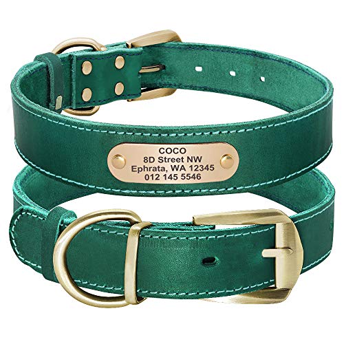 Didog Hundehalsband aus echtem Leder mit graviertem Namensschild, personalisierbar, weiches Leder, Hundehalsband mit individuellem ID-Etikett, braun/grün/rot für mittelgroße Hunde von Didog