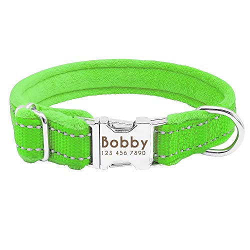 Didog Weich gepolstertes Hundehalsband, Flanell gepolstertes Hundehalsband, reflektierende Gravur, Halsband für kleine, mittelgroße und große Hunde, grün, kleine Größe von Didog