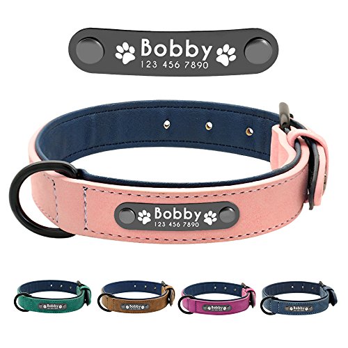 Didog Hundehalsband, weiches, gepolstertes, Leder, mit personalisierbarem, graviertem Namensschild, D-Ring. Für kleine und mittelgroße Hunde geeignet. von Didog