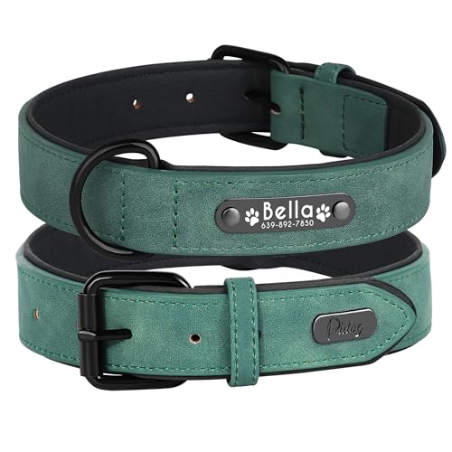 Didog Hundehalsband, weiches, gepolstertes, Leder, mit personalisierbarem, graviertem Namensschild, D-Ring. Für kleine und mittelgroße Hunde geeignet. von Didog