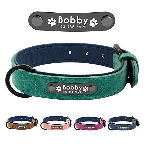 Didog Hundehalsband, weiches, gepolstertes, Leder, mit personalisierbarem, graviertem Namensschild, D-Ring. Für kleine und mittelgroße Hunde geeignet. von Didog