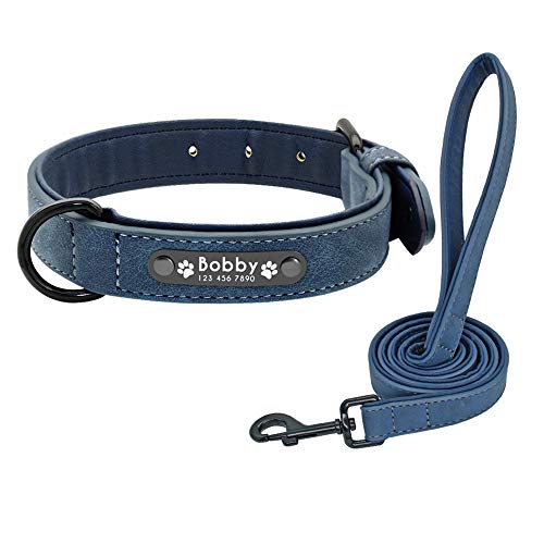 Didog Hundehalsband, weiches, gepolstertes, Leder, mit personalisierbarem, graviertem Namensschild, D-Ring. Für kleine und mittelgroße Hunde geeignet. von Didog