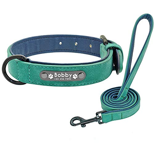 Didog Hundehalsband, weiches, gepolstertes, Leder, mit personalisierbarem, graviertem Namensschild, D-Ring. Für kleine und mittelgroße Hunde geeignet. von Didog