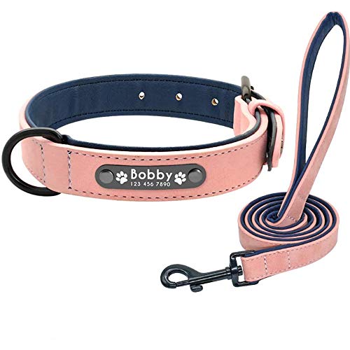 Didog Hundehalsband, weiches, gepolstertes, Leder, mit personalisierbarem, graviertem Namensschild, D-Ring. Für kleine und mittelgroße Hunde geeignet. von Didog