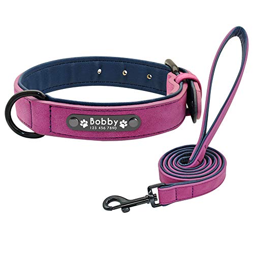 Didog Hundehalsband, weiches, gepolstertes, Leder, mit personalisierbarem, graviertem Namensschild, D-Ring. Für kleine und mittelgroße Hunde geeignet. von Didog