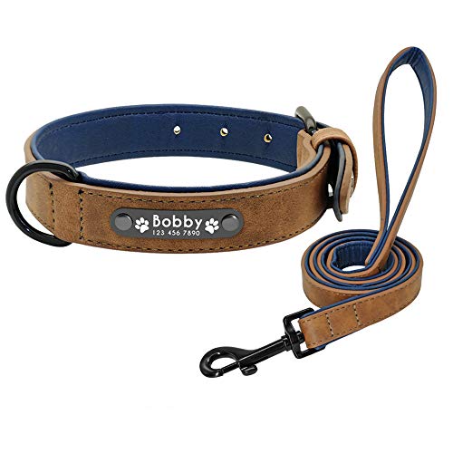 Didog Hundehalsband, weiches, gepolstertes, Leder, mit personalisierbarem, graviertem Namensschild, D-Ring. Für kleine und mittelgroße Hunde geeignet. Didog Hundehalsband, weiches, gepolstertes, Leder, mit personalisierbarem, graviertem Namensschild, D-Ring. Für kleine und mittelgroße Hunde geeignet. von Didog