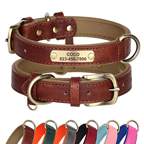 Didog Hundehalsband aus Leder, personalisiert für kleine, mittelgroße und große Hunde, weich gepolstertes Leder-Hundehalsband, strapazierfähig mit graviertem Namensschild, braun, M von Didog