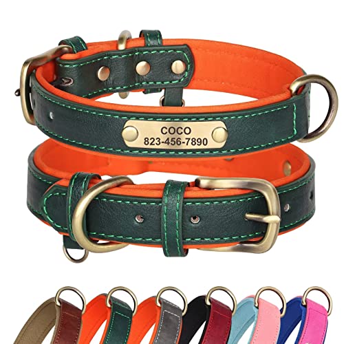 Didog Hundehalsband aus Leder, personalisierbar für kleine, mittelgroße und große Hunde, weich gepolstert, strapazierfähig, mit graviertem Namensschild, Grün, L Didog Hundehalsband aus Leder, personalisierbar für kleine, mittelgroße und große Hunde, weich gepolstert, strapazierfähig, mit graviertem Namensschild, Grün, L von Didog
