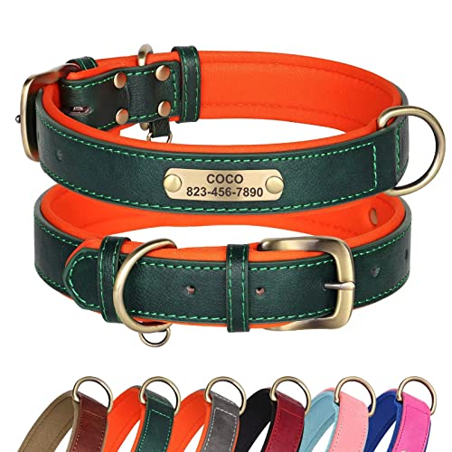 Didog Hundehalsband aus Leder, personalisiert für kleine, mittelgroße und große Hunde, weich gepolstertes Leder-Hundehalsband, strapazierfähig mit graviertem Namensschild, grün, XL von Didog