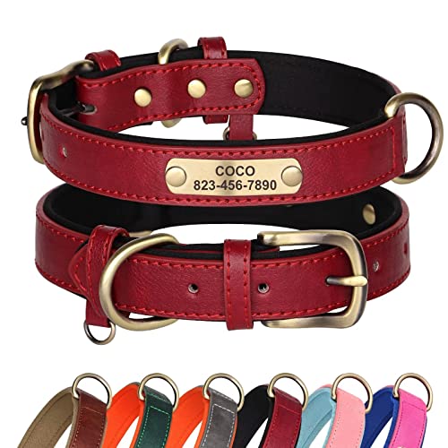 Didog Hundehalsband aus Leder, personalisiert für kleine, mittelgroße und große Hunde, weich gepolstertes Leder-Hundehalsband, strapazierfähig mit graviertem Namensschild, rot, M von Didog