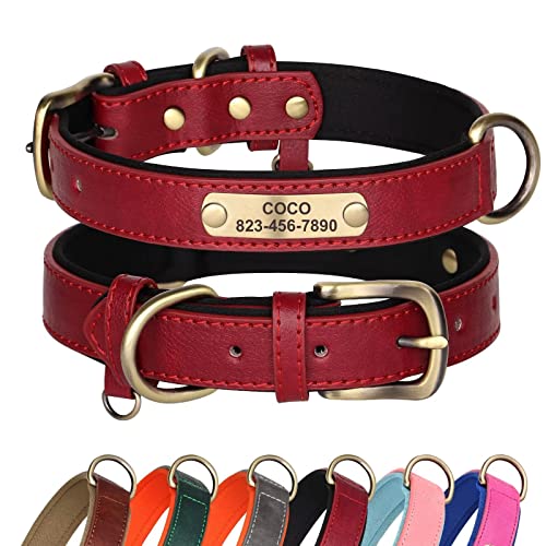 Didog Hundehalsband aus Leder, personalisiert für kleine, mittelgroße und große Hunde, weich gepolstertes Leder-Hundehalsband, strapazierfähig mit graviertem Namensschild, rot, S von Didog
