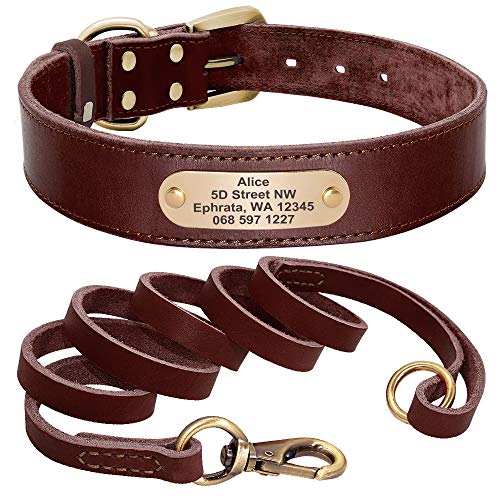 Didog Hundehalsband aus echtem Leder mit graviertem Namensschild, personalisierbar, weiches Leder, Hundehalsband mit individuellem ID-Etikett, braun/grün/rot für mittelgroße Hunde von Didog