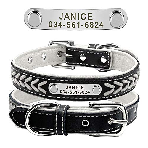 Didog Hundehalsband aus geflochtenem Leder, mit Gravur, mit personalisiertem Namensschild, für kleine, mittelgroße und große Hunde, weiß, Größe XS von Didog