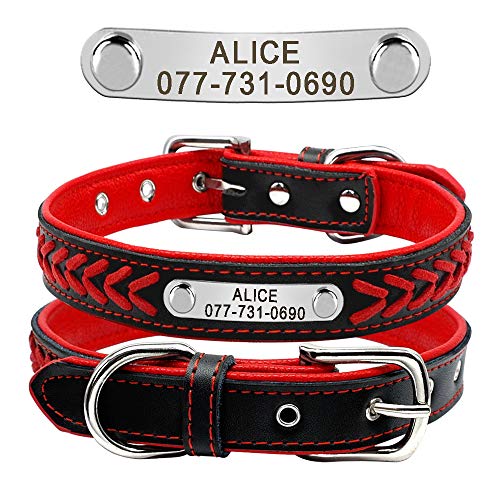 Didog Hundehalsband aus geflochtenem Leder, mit Gravur und personalisiertem Namensschild für kleine, mittelgroße und große Hunde, Rot, Größe L von Didog