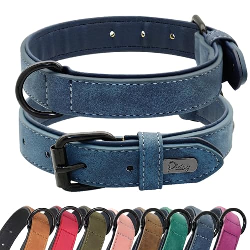 Didog Hundehalsband aus weichem, gepolstertem Leder, atmungsaktives, strapazierfähiges Hundehalsband aus Leder mit Verstellbarer, rostfreier Metallschnalle für kleine, mittelgroße Hunde, Blau, S von Didog