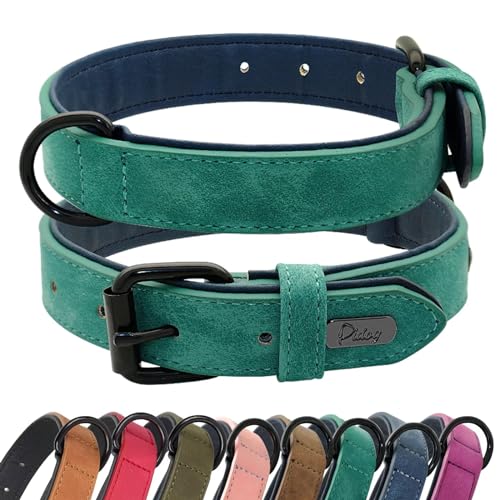 Didog Hundehalsband aus weichem, gepolstertem Leder, atmungsaktives, strapazierfähiges Hundehalsband aus Leder mit Verstellbarer, rostfreier Metallschnalle für mittelgroße und große Hunde, Grün, L von Didog