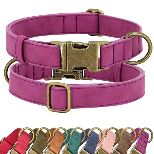 Didog Hundehalsband aus weichem Leder, langlebig, strapazierfähig, Hundehalsbänder mit Schnellverschluss-Metallschnalle, verstellbares Hundehalsband aus Leder für mittelgroße kleine Hunde, Lila, M von Didog