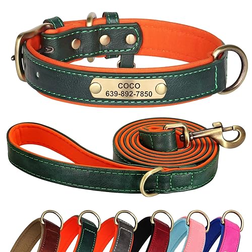 Didog Hundehalsband und Leine, Set aus Leder, für kleine, mittelgroße und große Hunde, 1,5 m, weich gepolsterte Leder-Hundeleine und Halsband, robuste Hundehalsband aus Leder mit graviertem von Didog