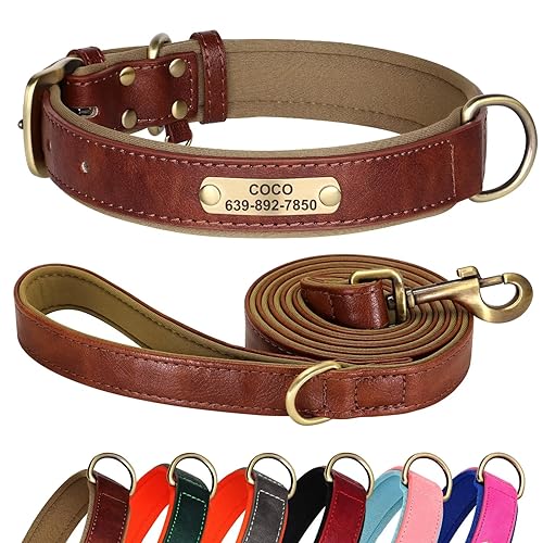 Didog Hundehalsband und Leine, Set aus Leder, für kleine, mittelgroße und große Hunde, 1,5 m, weich gepolsterte Leder-Hundeleine und Halsband, robuste Hundehalsband aus Leder mit graviertem von Didog