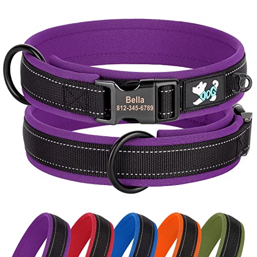 Didog Personalisiertes Nylon-Hundehalsband, weiches Neopren gepolstert, individuelle Hundehalsbänder, reflektierendes Hundehalsband graviertem Namensschild kleine, mittelgroße große Hunde, lila, M von Didog