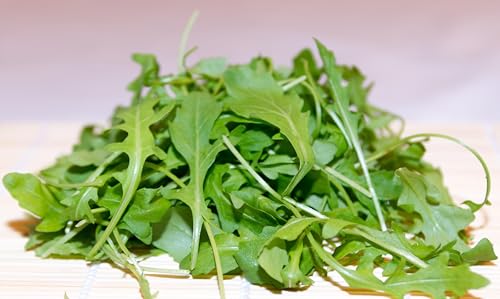 Rucola (Rucola coltivata) Samen. Salatrauke, Senfraute (1000 Samen = 2,0g) von Die Hof Oase