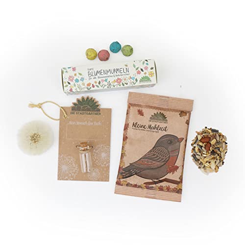 3 Füllungen für den Adventskalender oder Nikolausstiefel I Wunderschöne nachhaltige Produkte I Adventskalender & Nikolausstiefel Füllung & Ideen I Hergestellt in Handarbeit in Deutschland 3 Füllungen für den Adventskalender oder Nikolausstiefel I Wunderschöne nachhaltige Produkte I Adventskalender & Nikolausstiefel Füllung & Ideen I Hergestellt in Handarbeit in Deutschland von Die Stadtgärtner