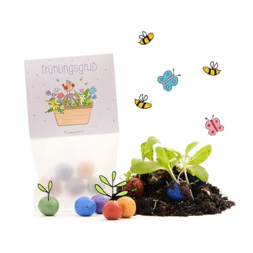 Bunte Blumenmurmeln "Frühlingsgruß" l 10 x5 kleine Saatkugeln in einem Tütchen mit Blumenkorb-Motiv l Geschenk zu Ostern, im Frühling, als Gastgeschenk oder als Dankeschön für Erzieher, Lehrer von Die Stadtgärtner