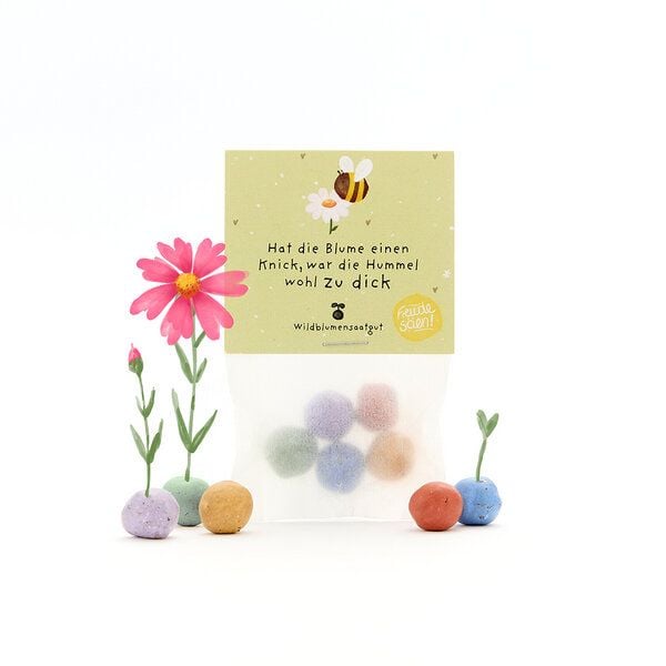 Die Stadtgärtner 5 bunte Blumenmurmeln im Tütchen mit Wildblumensaatgut | Als Dankeschön, Gastgeschenk & kleine Grüße für Gärtner von Die Stadtgärtner