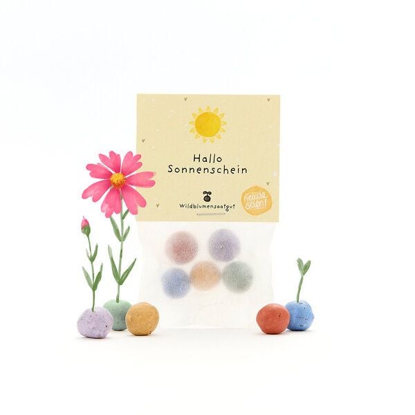 Die Stadtgärtner 5 bunte Blumenmurmeln im Tütchen mit Wildblumensaatgut | Geschenk für Freunde, zur Aufmunterung & als Dankeschön von Die Stadtgärtner