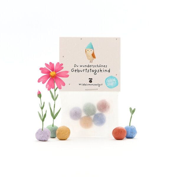 Die Stadtgärtner 5 bunte Blumenmurmeln im Tütchen mit Wildblumensaatgut | Geschenkidee und tolle Überraschung zum Geburtstag von Die Stadtgärtner