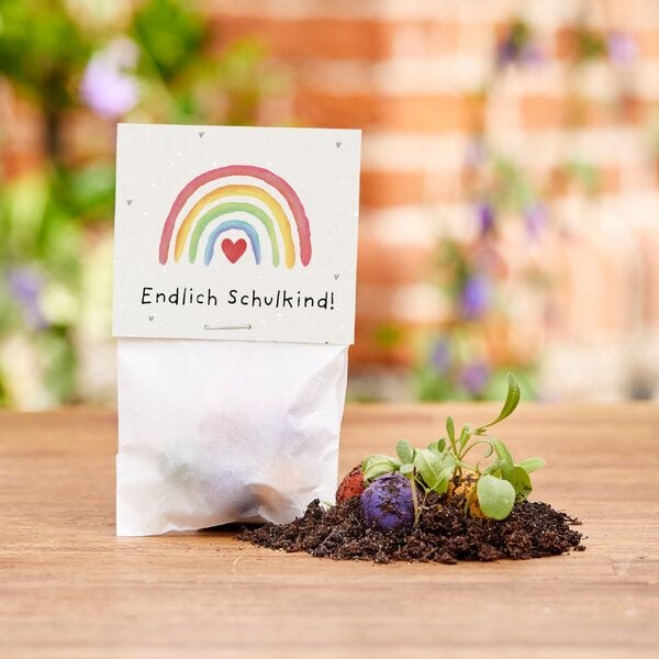 Die Stadtgärtner 5 bunte Blumenmurmeln im Tütchen mit Wildblumensaatgut | Geschenkidee zur Einschulung, Schulanfang, für Schultüte | "Endlich Schulkind!" von Die Stadtgärtner