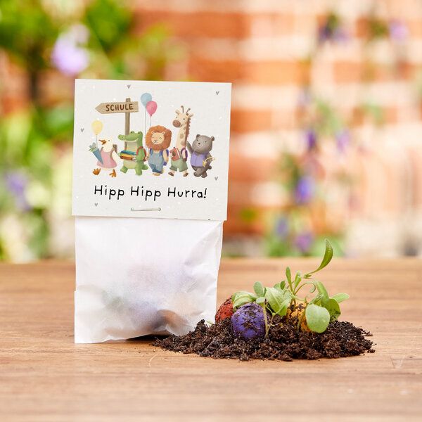 Die Stadtgärtner 5 bunte Blumenmurmeln im Tütchen mit Wildblumensaatgut | Geschenkidee zur Einschulung, Schulanfang, für Schultüte | "Hipp Hipp Hurra!" von Die Stadtgärtner