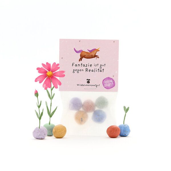 Die Stadtgärtner 5 bunte Blumenmurmeln mit Wildblumensaatgut im Tütchen | Für Aufmunterung, Kindergeburtstage & als kreatives Mitbringsel von Die Stadtgärtner