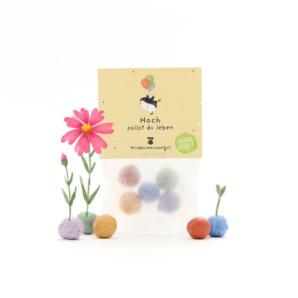 Die Stadtgärtner 5 bunte Blumenmurmeln mit Wildblumensaatgut im Tütchen | Geschenkidee und tolle Überraschung zum Geburtstag & Jubiläum von Die Stadtgärtner