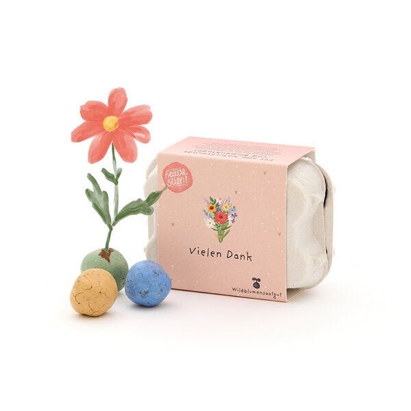 Die Stadtgärtner 6 bunte Saatkugeln mit Wildblumen-Saatgut im Mini-Eierkarton l Nachhaltige Geschenkidee als Gastgeschenk, Dankeschön & zum Abschied von Die Stadtgärtner