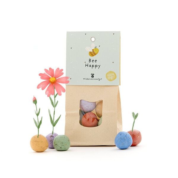 Die Stadtgärtner 8 Wildblumen-Saatkugeln als kreatives Geschenk | Geschenkidee für Geburtstage, als Dankeschön & als Mutmacher von Die Stadtgärtner