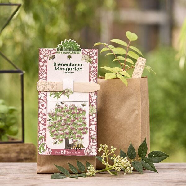 Die Stadtgärtner Anzuchtset Bienenbaum | Tausendblütenstrauch Samen I Geschenk für Gärtner und Naturliebhaber von Die Stadtgärtner