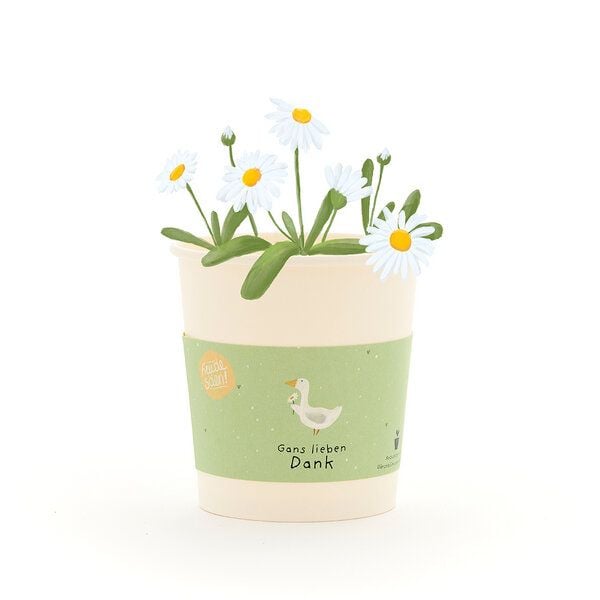 Die Stadtgärtner Gänseblümchen-Anzuchtset als Dankeschön-Geschenk | Nachhaltige Geschenkidee für Dankeschön, Abschied & Wertschätzung von Die Stadtgärtner