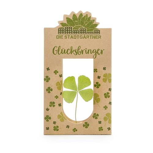Die Stadtgärtner Glücksbringer I Echtes vierblättriges Kleeblatt zwischen Glasscheiben | Geschenk für Glück & als Mutmacher | Handgemacht in Deutschland Die Stadtgärtner Glücksbringer I Echtes vierblättriges Kleeblatt zwischen Glasscheiben | Geschenk für Glück & als Mutmacher | Handgemacht in Deutschland von Die Stadtgärtner