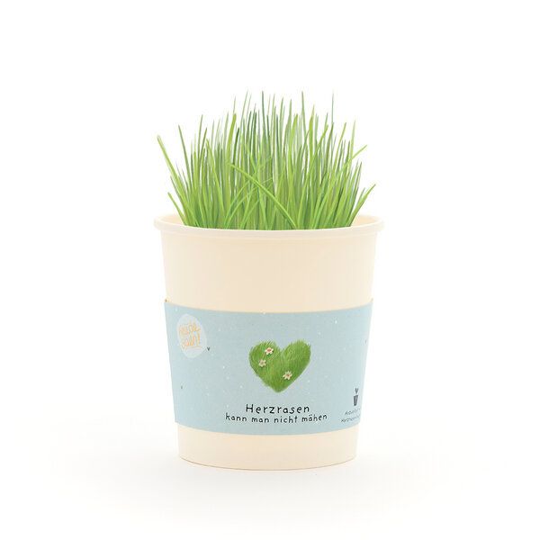 Die Stadtgärtner Herzrasen Anzuchtset als romantisches Geschenk | Nachhaltige Geschenkidee für Valentinstag, Liebesbotschaften & Jahrestag von Die Stadtgärtner