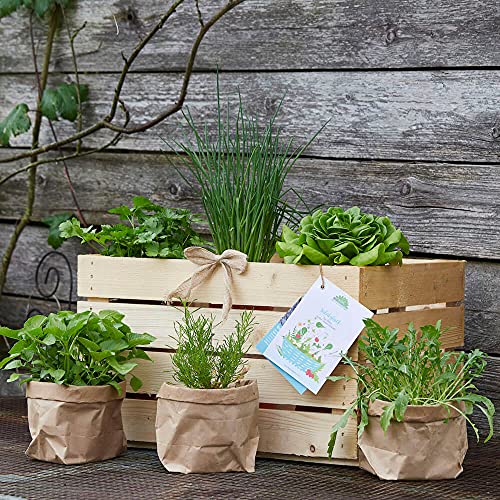 Die Stadtgärtner – Kräuter-Pflanzen „Salatglück“ – 6 schmackhafte Pflanzen in robuster Geschenkkiste aus Holz von Die Stadtgärtner