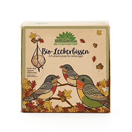 Die Stadtgärtner – Leckerbissen Bio 4er Set Futterknödel I Ganzjahres-Meisenknödel für alle Vögel I Vogelfutter für Amseln Rotkehlchen Meisen etc. I Mit Getreide Rindertalg Mineralstoffen & Erdnüssen Die Stadtgärtner – Leckerbissen Bio 4er Set Futterknödel I Ganzjahres-Meisenknödel für alle Vögel I Vogelfutter für Amseln Rotkehlchen Meisen etc. I Mit Getreide Rindertalg Mineralstoffen & Erdnüssen von Die Stadtgärtner