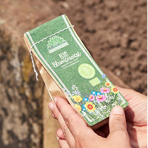 Die Stadtgärtner – Saatgut „BIO-Blumenwiese“ I Mit über 25 verschiedenen Arten Bio-Wildblumensaat I Ausreichend für 100 m² I Ideal für Wildbienen, Hummeln und Schmetterlinge Die Stadtgärtner – Saatgut „BIO-Blumenwiese“ I Mit über 25 verschiedenen Arten Bio-Wildblumensaat I Ausreichend für 100 m² I Ideal für Wildbienen, Hummeln und Schmetterlinge von Die Stadtgärtner