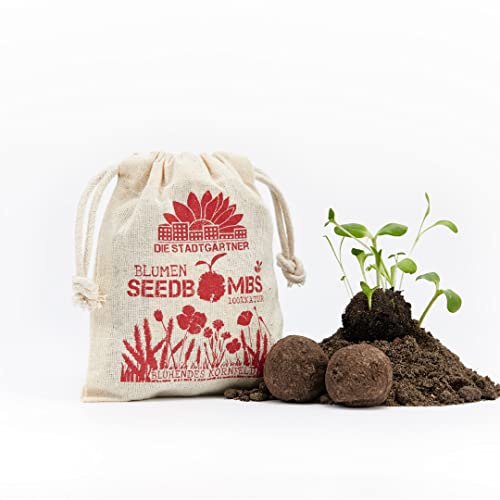 Die Stadtgärtner – Seedbombs „Blühendes Kornfeld“ I 8 handgemachte Samenbomben mit 20 Arten von Blumen-Saatgut I Enthält u.a. Ackerblume, Mohn & Kornblume I 100% ökologisch & min. 2 Jahre haltbar von Die Stadtgärtner