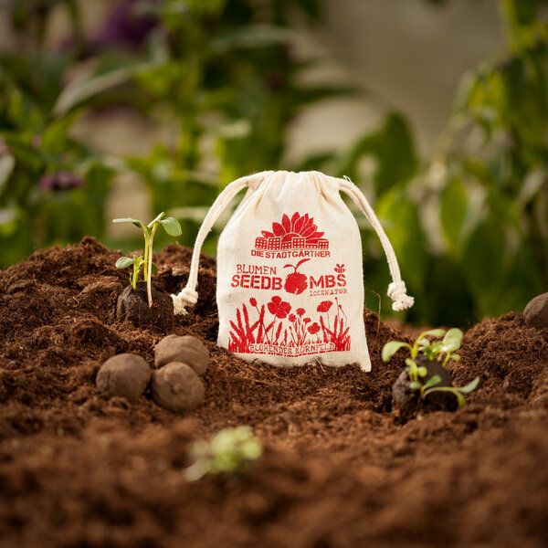 Die Stadtgärtner Seedbombs Blühendes Kornfeld I 8 handgemachte Wildblumen-Samenbomben von Die Stadtgärtner