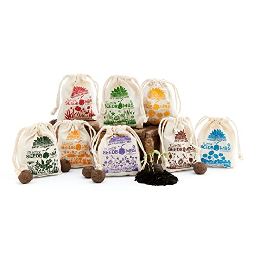 Die Stadtgärtner – Seedbombs Komplettpaket I Komplett-Set aus 8 verschiedenen Sorten Samenbomben I 100% ökologisch & mindestens 2 Jahre haltbar I Sichere dir das Vorteils-Set von Die Stadtgärtner