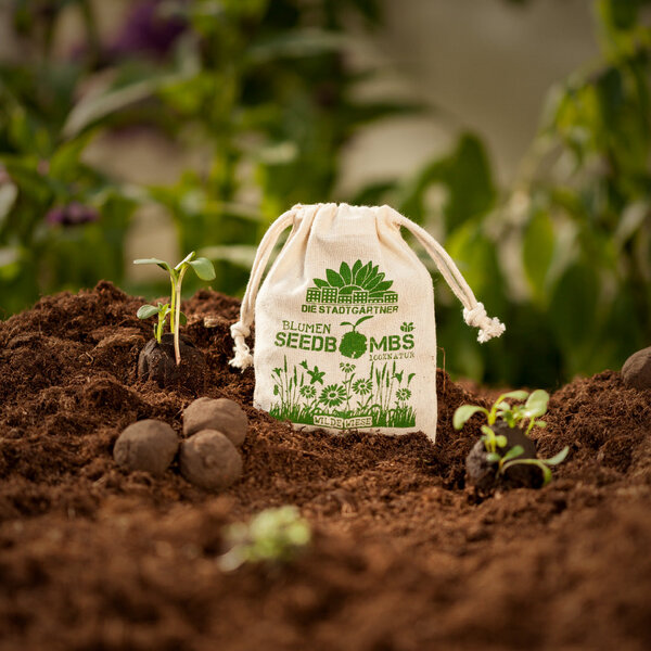 Die Stadtgärtner Seedbombs Wilde Wiese I 8 Handgemachte Samenbomben über 40 Blumensamen von Die Stadtgärtner