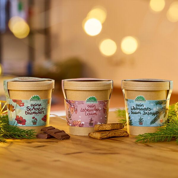 Die Stadtgärtner Set - 3 Weihnachtliche Anzuchtsets - Weihnachtsgeschenk für Gärtner und Naturfreunde von Die Stadtgärtner