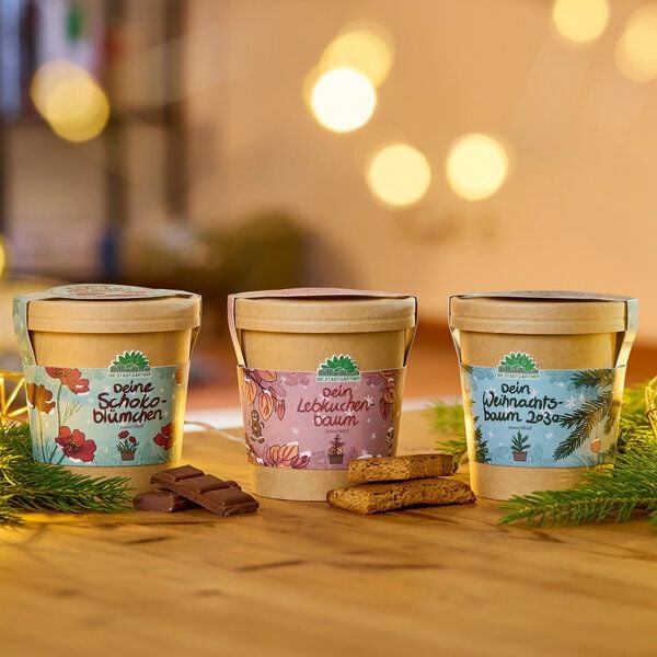 Die Stadtgärtner Set - 3 Weihnachtliche Anzuchtsets - Weihnachtsgeschenk für Gärtner und Naturfreunde von Die Stadtgärtner